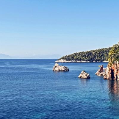 Stafilos skopelos